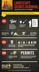 Debris%20Burning%20Infographic%20Final